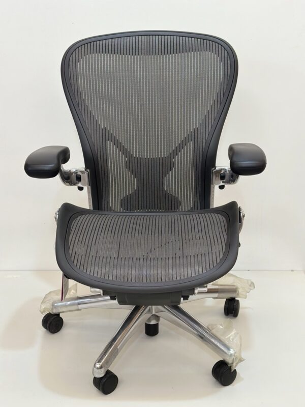 VINTAGE AERON / lead / con posture fit